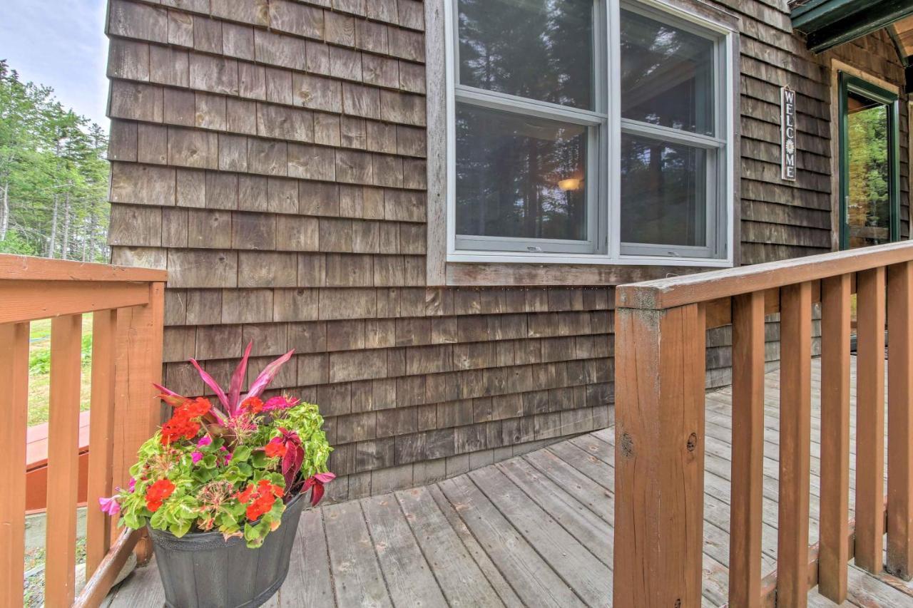 Hidden Gem Cottage Near Blue Hill Peninsula Brooklin Exterior foto